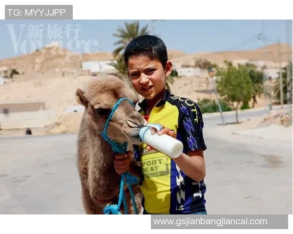 突尼斯足球传奇球星成长历程与国家队荣耀背后的故事